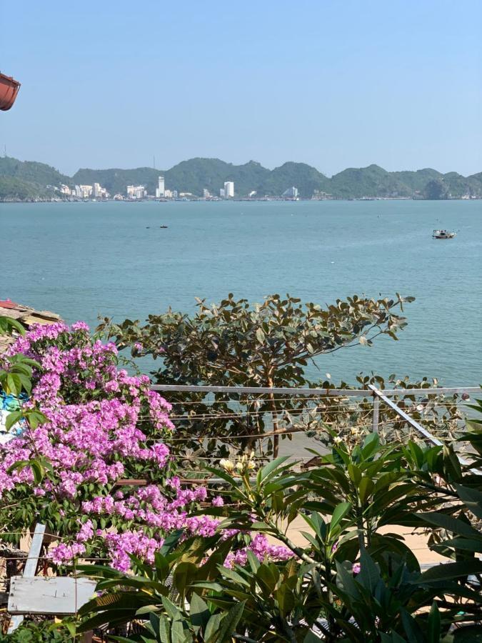 Ocean Beach Resort カットバ島 エクステリア 写真